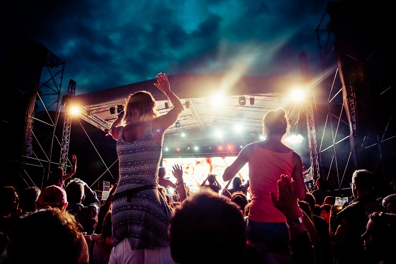 flowers / simple flowers flowers / pretty flowers